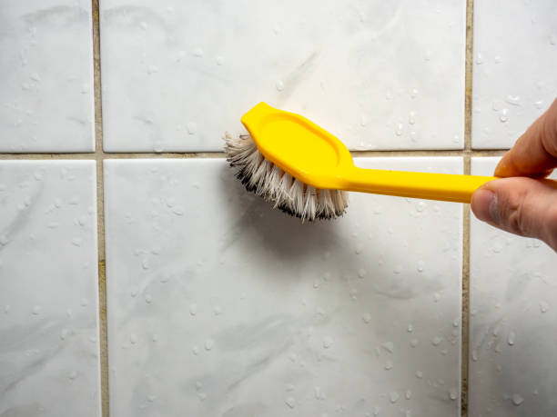 Best Emergency Mold Removal  in Bryn Mawr, PA
