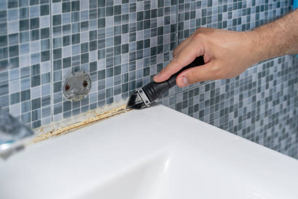 Best Fast Mold Removal  in Bryn Mawr, PA