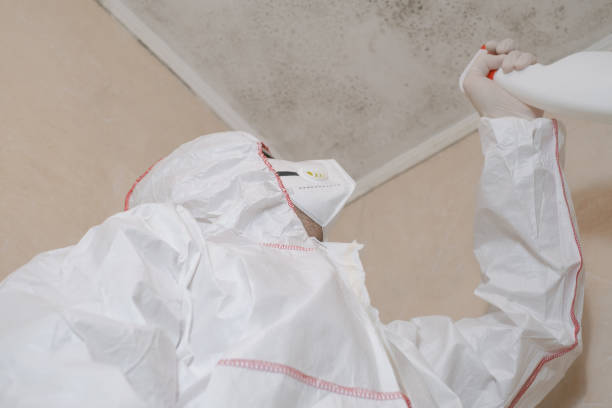 Bryn Mawr, PA Mold Removal Company